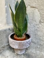 Zdjęcie doniczki lub oslonki: Osłonka Diatłow 13x13 cm, ujęcie 2