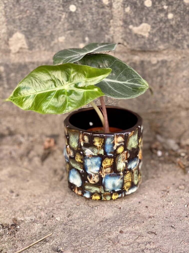 Zdjęcie doniczki lub oslonki: Osłonka Witraż 7x8 cm, ujęcie 2