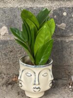 Zdjęcie doniczki lub oslonki: Osłonka Szaman 6x8 cm, ujęcie 2