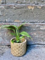 Zdjęcie doniczki lub oslonki: Osłonka Mermaid 7x8 cm, ujęcie 2