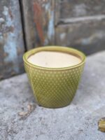 Zdjęcie doniczki lub oslonki: Osłonka Grass 15x14 cm, ujęcie 3