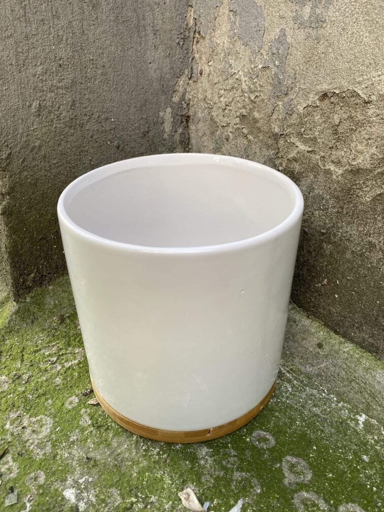 Zdjęcie doniczki lub oslonki: Osłonka Bamboo 17x19 cm, ujęcie 1