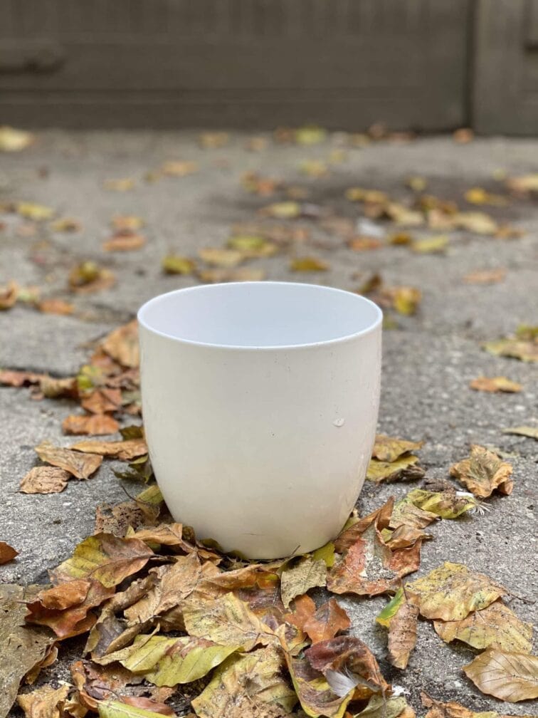 Zdjęcie doniczki lub oslonki: Osłonka White Nights 15x15 cm, ujęcie 1