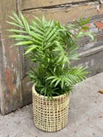 Zdjęcie doniczki lub oslonki: Osłonka Velka Lemon 15x20 cm, ujęcie 2