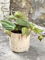 Zdjęcie doniczki lub oslonki: Osłonka Gnoin 11x12 cm, ujęcie 2