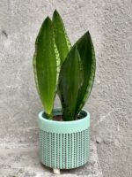 Zdjęcie doniczki lub oslonki: Osłonka Lorien 13x13 cm, ujęcie 2