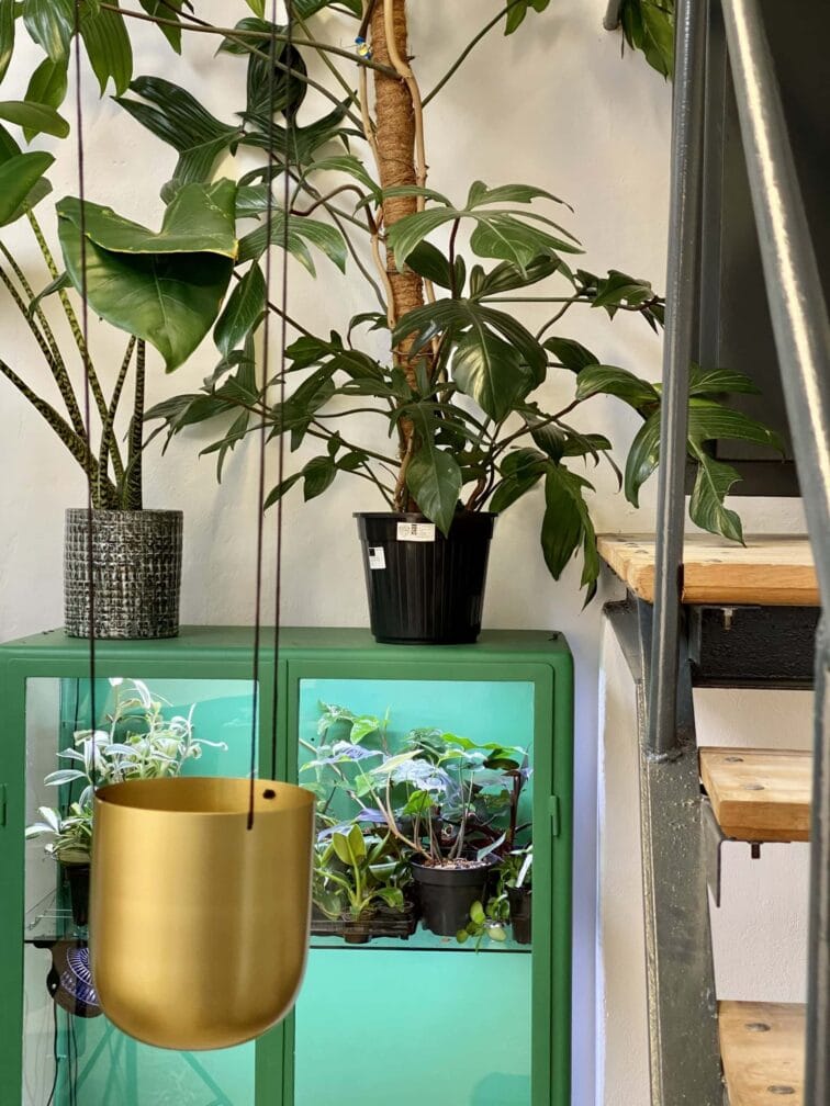 Zdjęcie akcesoria Kwietnik mały Bloomingville, ujęcie 2