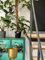 Zdjęcie akcesoria Kwietnik mały Bloomingville, ujęcie 3