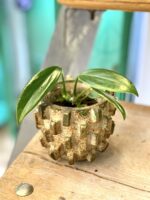 Zdjęcie doniczki lub oslonki: Osłonka Ramstein 6x8 cm, ujęcie 2