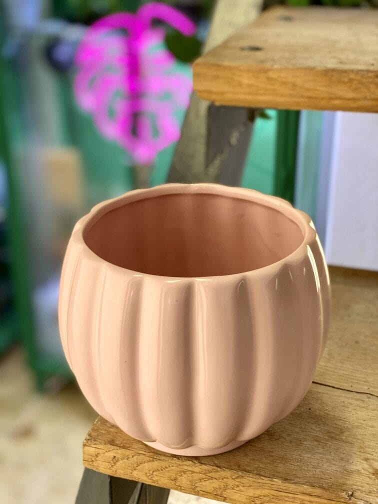 Zdjęcie doniczki lub oslonki: Osłonka Omega Pink 12x13 cm, ujęcie 1