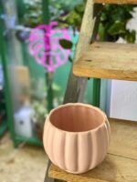 Zdjęcie doniczki lub oslonki: Osłonka Omega Pink 12x13 cm, ujęcie 3