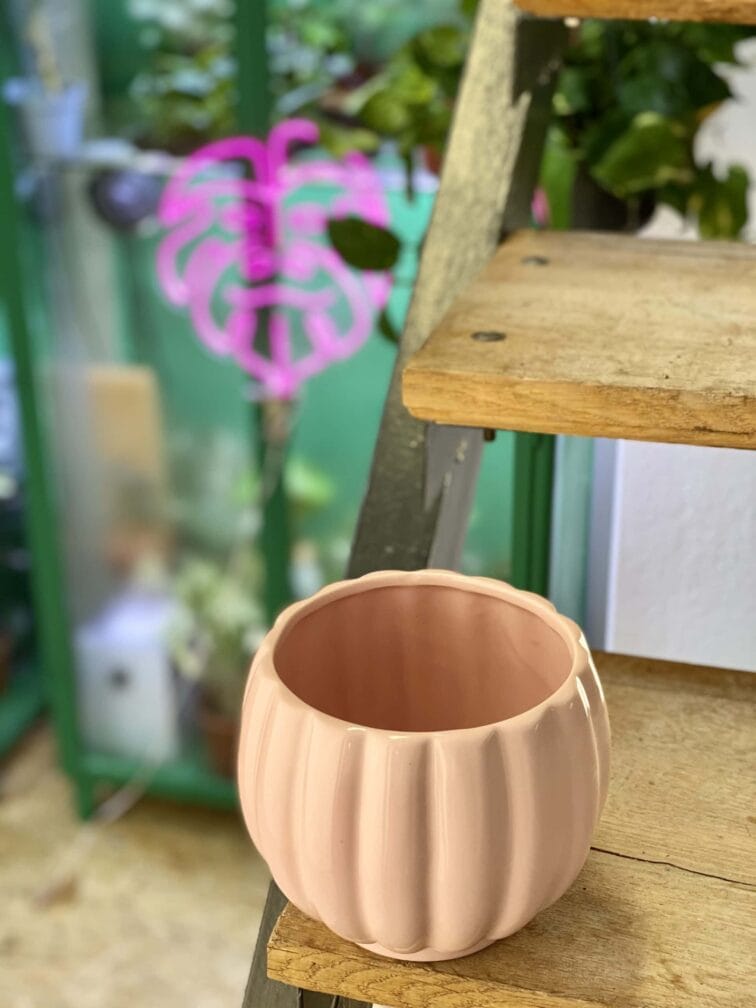 Zdjęcie doniczki lub oslonki: Osłonka Omega Pink 12x13 cm, ujęcie 3