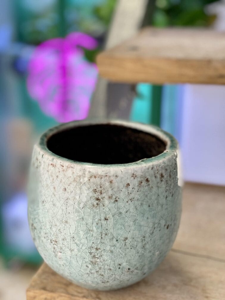 Zdjęcie doniczki lub oslonki: Osłonka Porto 10x10 cm, ujęcie 1