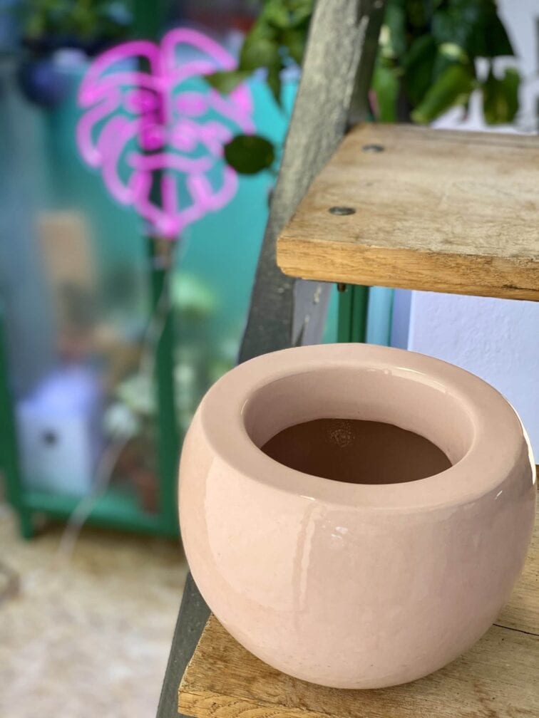 Zdjęcie doniczki lub oslonki: Osłonka Wrzos 11x15 cm, ujęcie 3