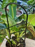 Zdjęcie akcesoria Drabinka Mała BuszBusz, ujęcie 2