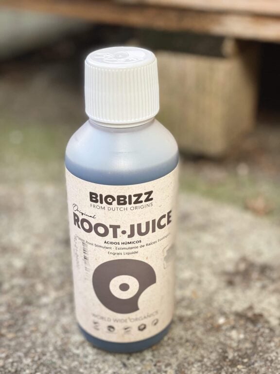 Zdjęcie akcesoria Nawóz organiczny Root Juice BioBizz 250ml, ujęcie 1