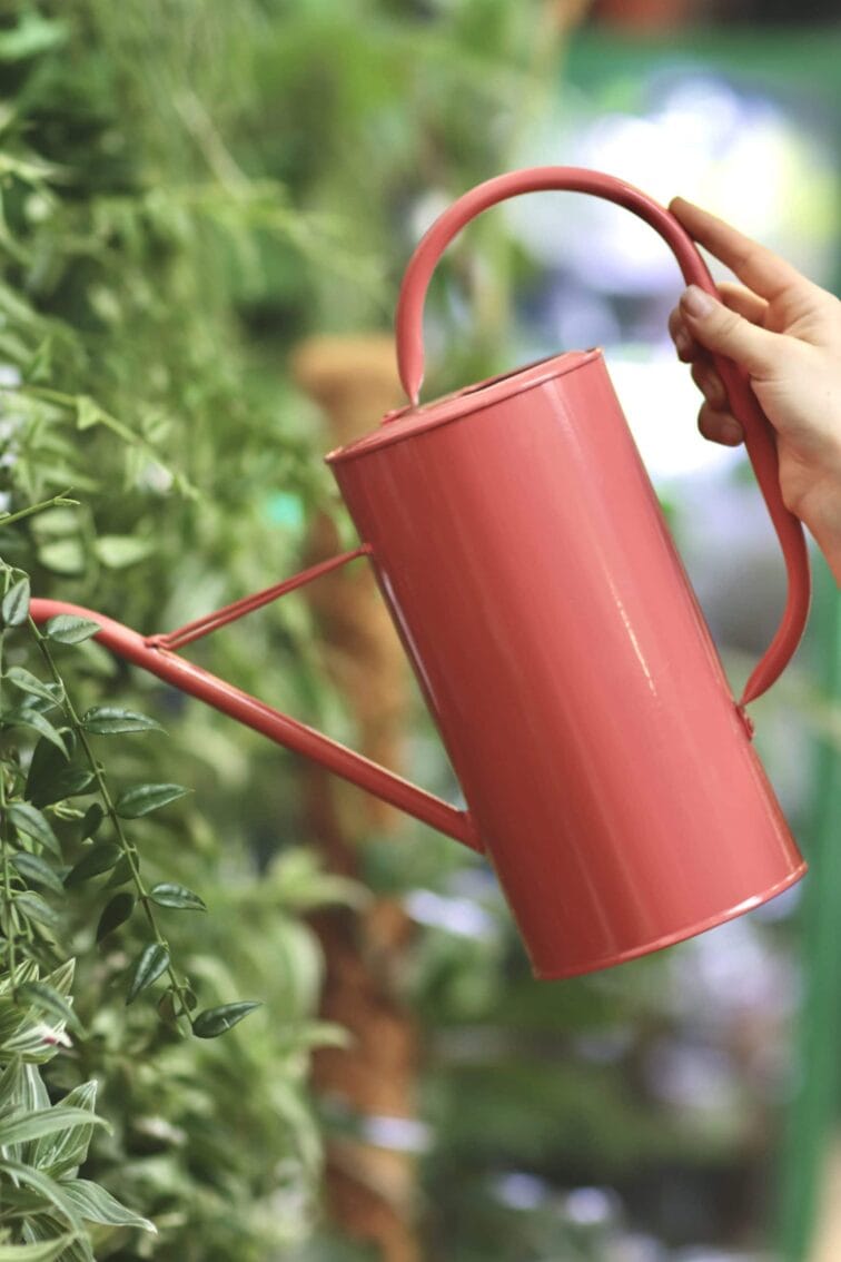 Zdjęcie akcesoria Konewka Svip Różowa 2,7l, ujęcie 2