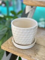 Zdjęcie doniczki lub oslonki: Doniczka Stokrotka 11x10&nbsp;cm, ujęcie 1