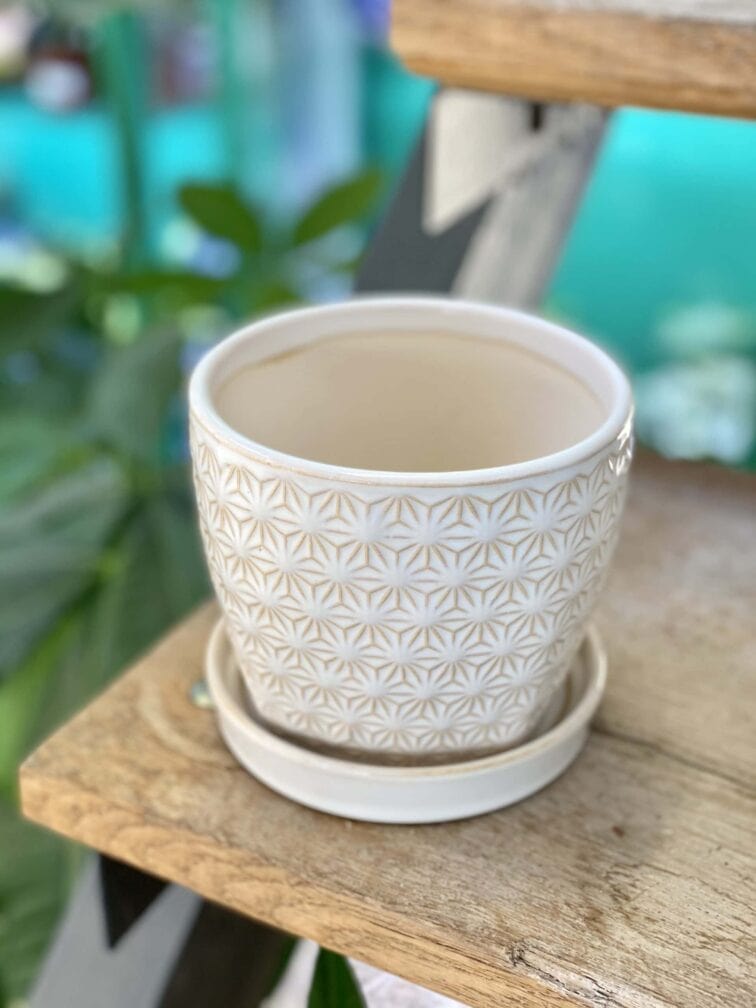 Zdjęcie doniczki lub oslonki: Doniczka Stokrotka 11x10&nbsp;cm, ujęcie 1