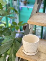 Zdjęcie doniczki lub oslonki: Doniczka Stokrotka 11x10&nbsp;cm, ujęcie 3