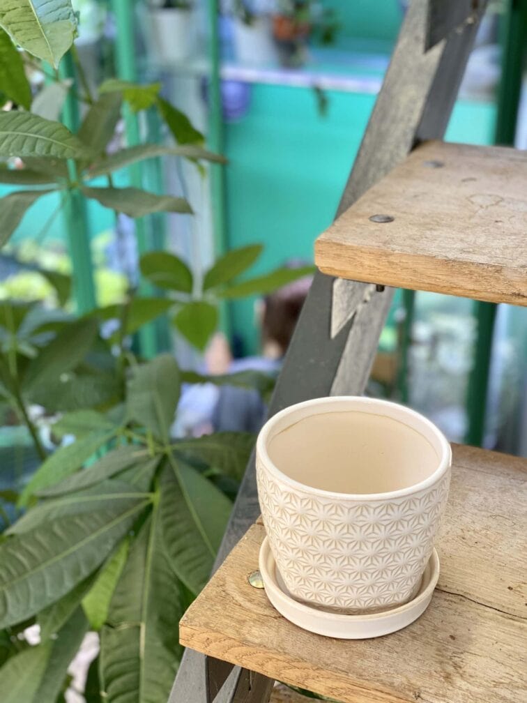 Zdjęcie doniczki lub oslonki: Doniczka Stokrotka 11x10&nbsp;cm, ujęcie 3