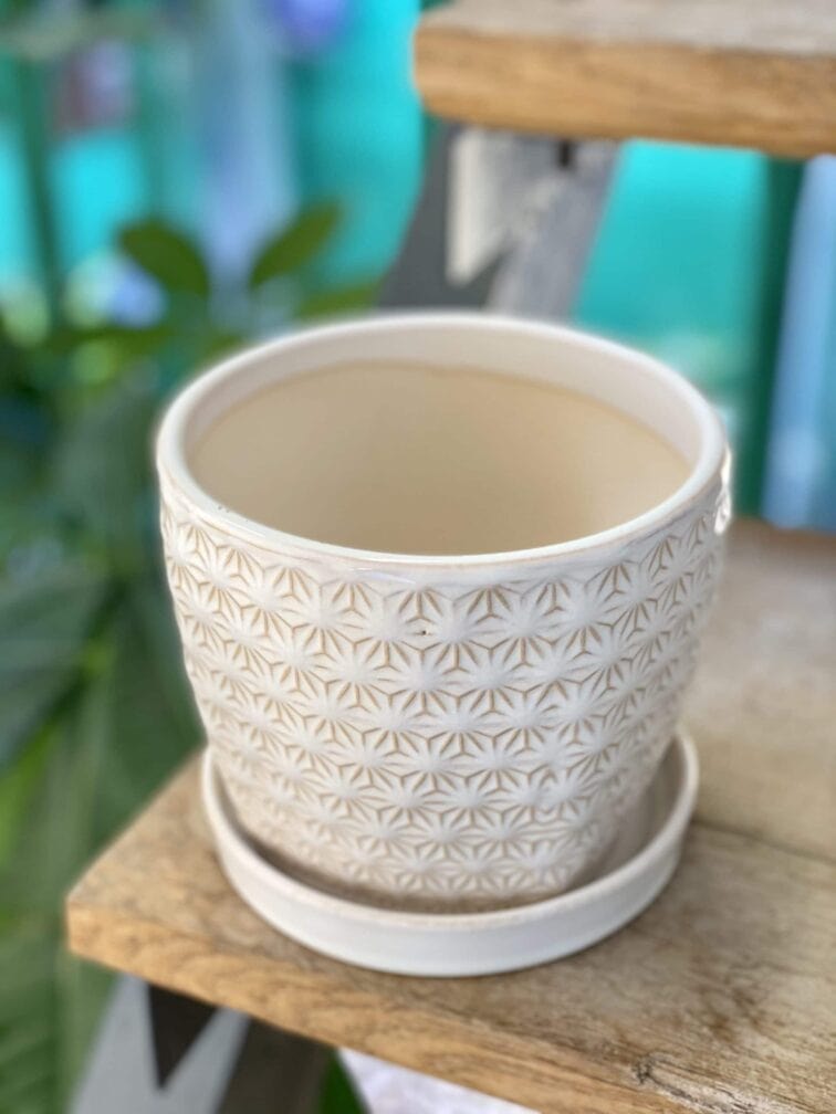 Zdjęcie doniczki lub oslonki: Doniczka Stokrotka 12x12&nbsp;cm, ujęcie 1