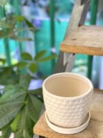 Zdjęcie doniczki lub oslonki: Doniczka Stokrotka 12x12&nbsp;cm, ujęcie 3