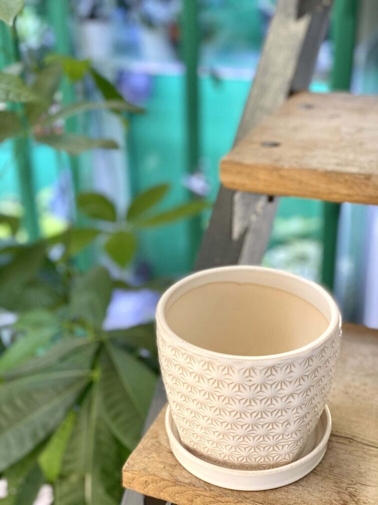 Zdjęcie doniczki lub oslonki: Doniczka Stokrotka 12x12&nbsp;cm, ujęcie 3