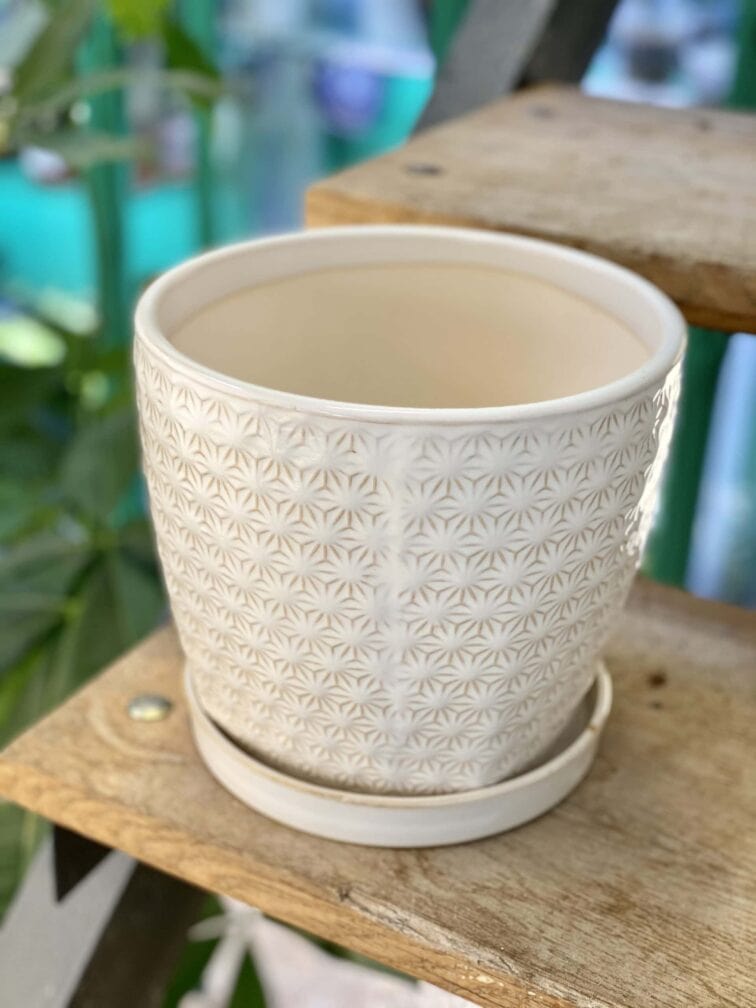 Zdjęcie doniczki lub oslonki: Doniczka Stokrotka 15x15&nbsp;cm, ujęcie 1