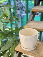 Zdjęcie doniczki lub oslonki: Doniczka Stokrotka 15x15&nbsp;cm, ujęcie 3