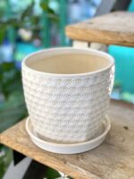 Zdjęcie doniczki lub oslonki: Doniczka Stokrotka 18x17 cm, ujęcie 1