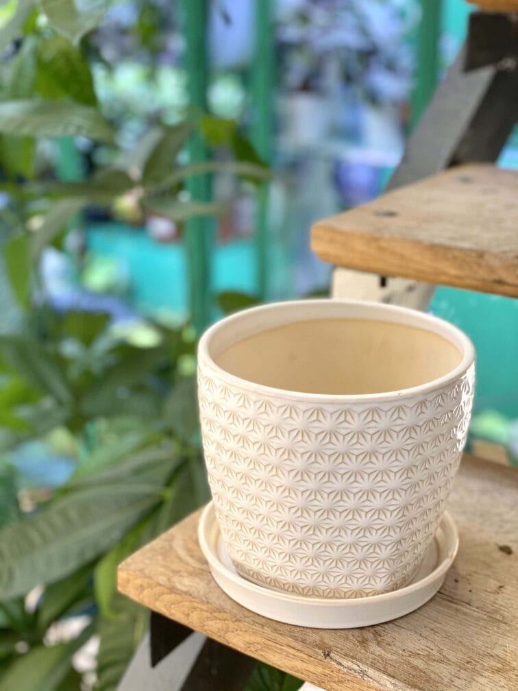 Zdjęcie doniczki lub oslonki: Doniczka Stokrotka 18x17 cm, ujęcie 3