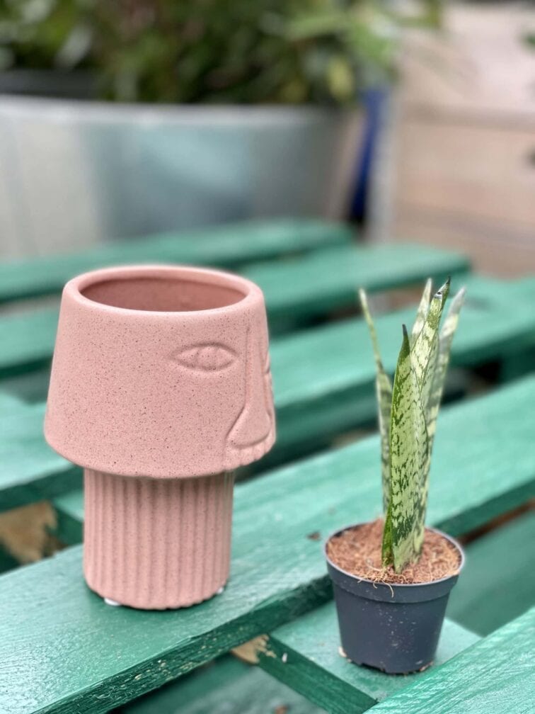 Zdjęcie doniczki lub oslonki: Osłonka Crazy Pink 7x13 cm, ujęcie 2