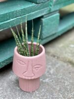 Zdjęcie doniczki lub oslonki: Osłonka Crazy Pink 7x13 cm, ujęcie 3