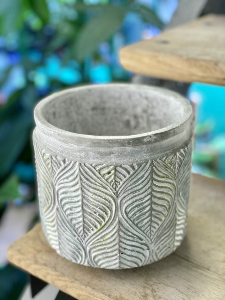 Zdjęcie doniczki lub oslonki: Osłonka Drzewko oliwne 14x15 cm, ujęcie 1