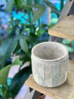 Zdjęcie doniczki lub oslonki: Osłonka Drzewko oliwne 14x15 cm, ujęcie 3