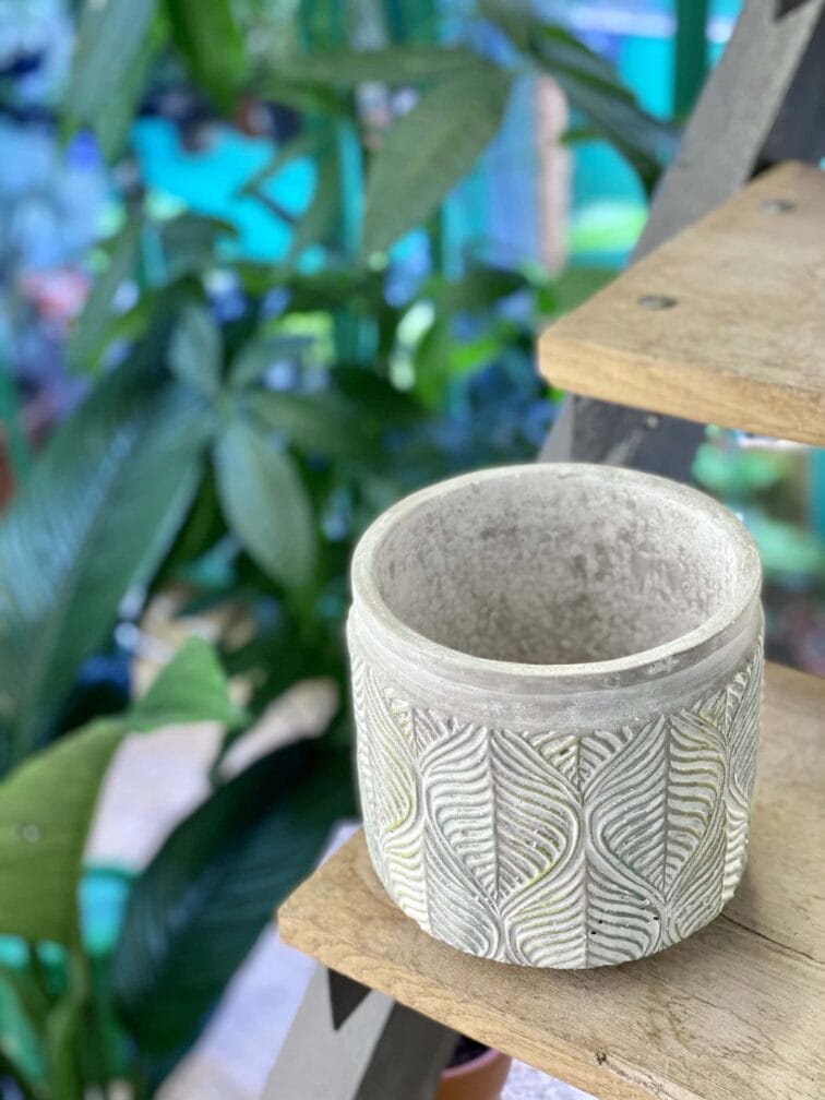 Zdjęcie doniczki lub oslonki: Osłonka Drzewko oliwne 14x15 cm, ujęcie 3