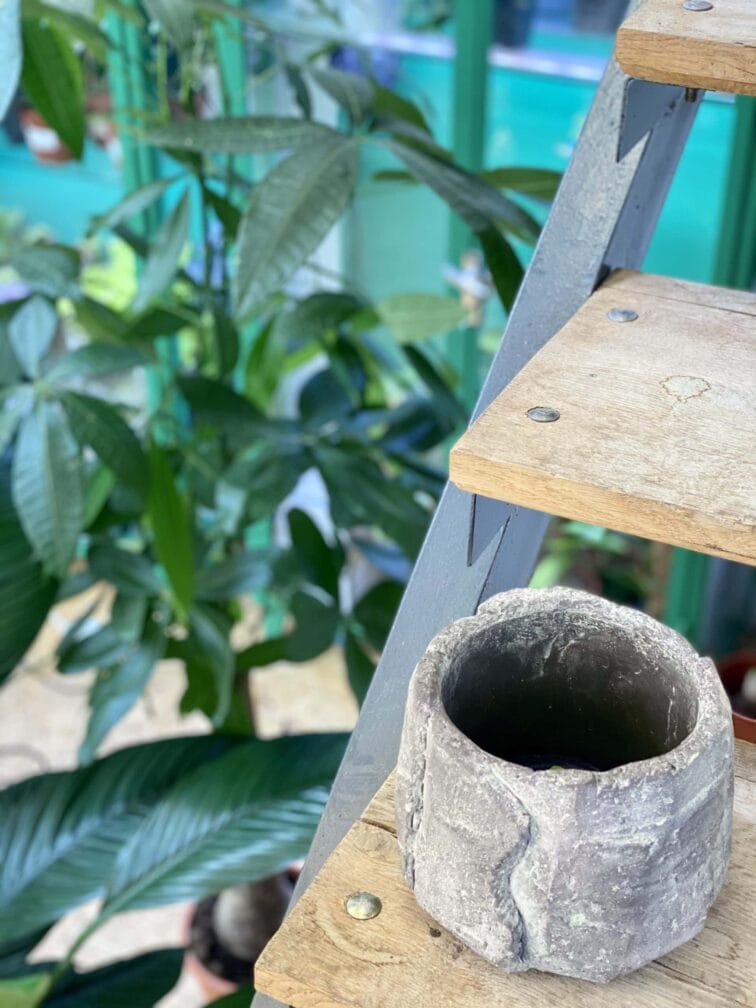 Zdjęcie doniczki lub oslonki: Osłonka Gejzer 13x13 cm, ujęcie 3