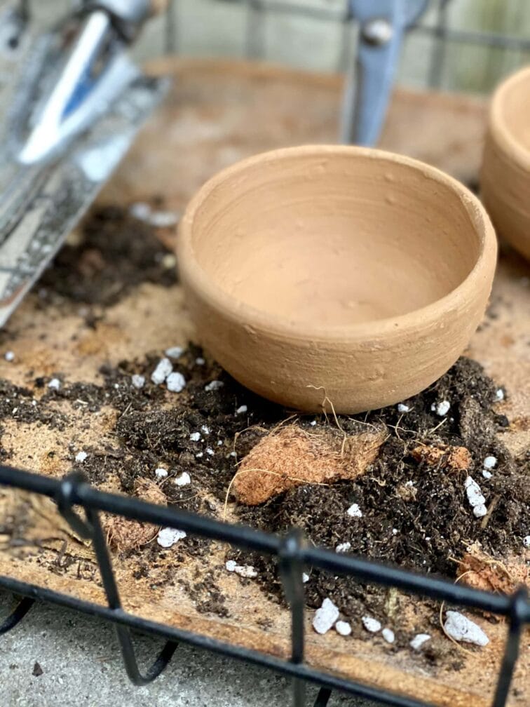 Zdjęcie doniczki lub oslonki: Osłonka Glina 6x4 cm, ujęcie 2