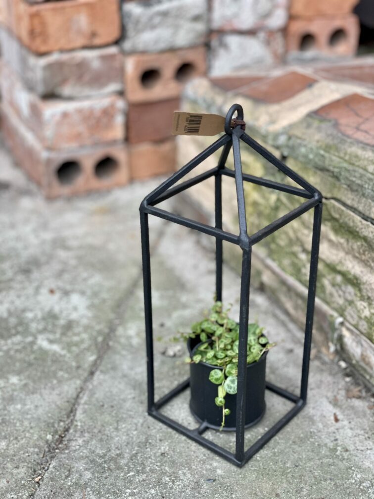 Zdjęcie doniczki lub oslonki: Osłonka Lampion 6x7&nbsp;cm, ujęcie 3