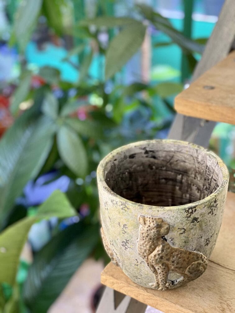 Zdjęcie doniczki lub oslonki: Osłonka Leopard 15x16 cm, ujęcie 3