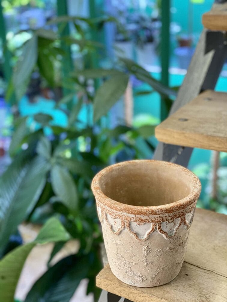 Zdjęcie doniczki lub oslonki: Osłonka Neron 14x16 cm, ujęcie 3