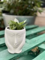 Zdjęcie doniczki lub oslonki: Osłonka Ona 9x13 cm, ujęcie 2