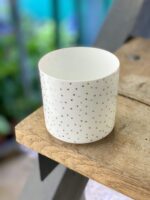 Zdjęcie doniczki lub oslonki: Osłonka Sparkling 6x6 cm, ujęcie 1