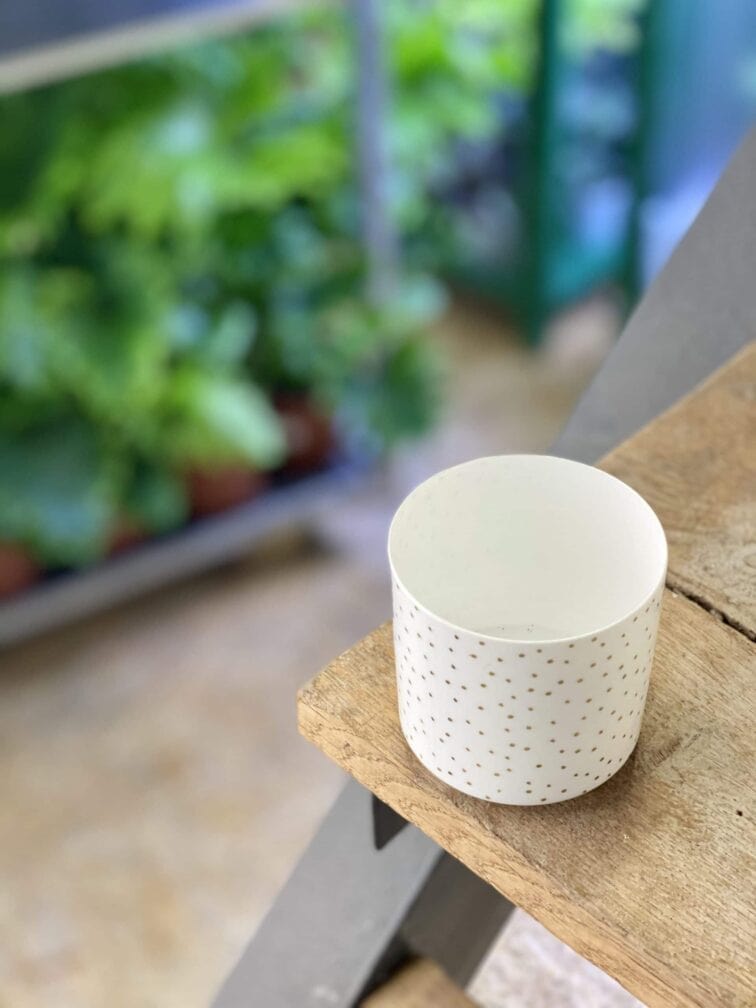 Zdjęcie doniczki lub oslonki: Osłonka Sparkling 6x6 cm, ujęcie 3