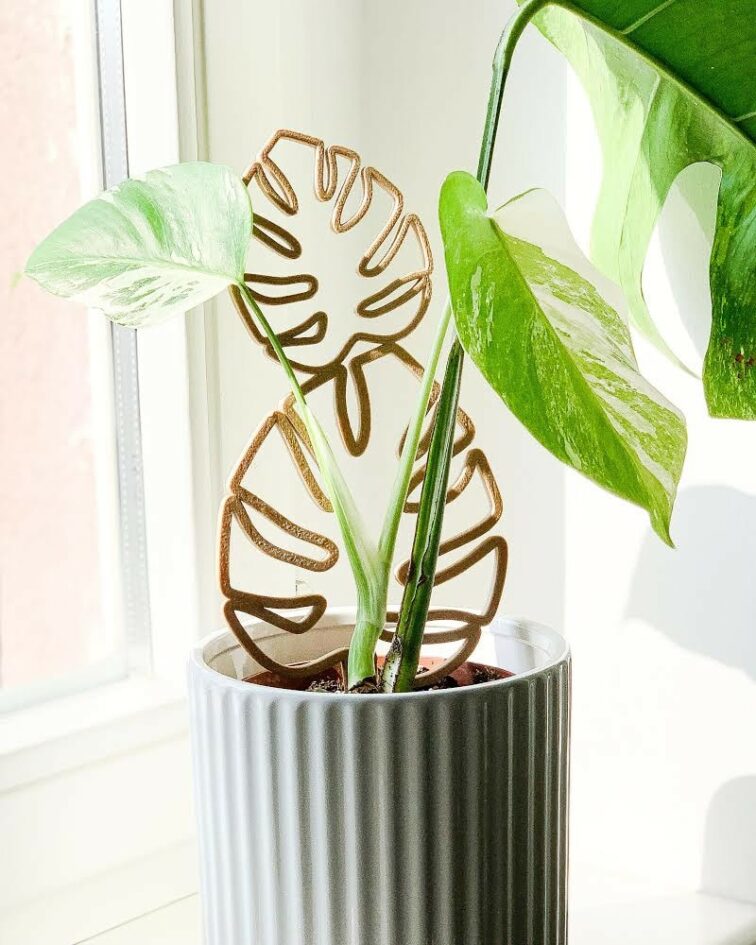 Zdjęcie akcesoria Drabinka bamboo monstera 28cm, ujęcie 1