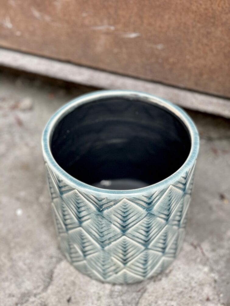 Zdjęcie rośliny Osłonka Boho Sky, ujęcie 3