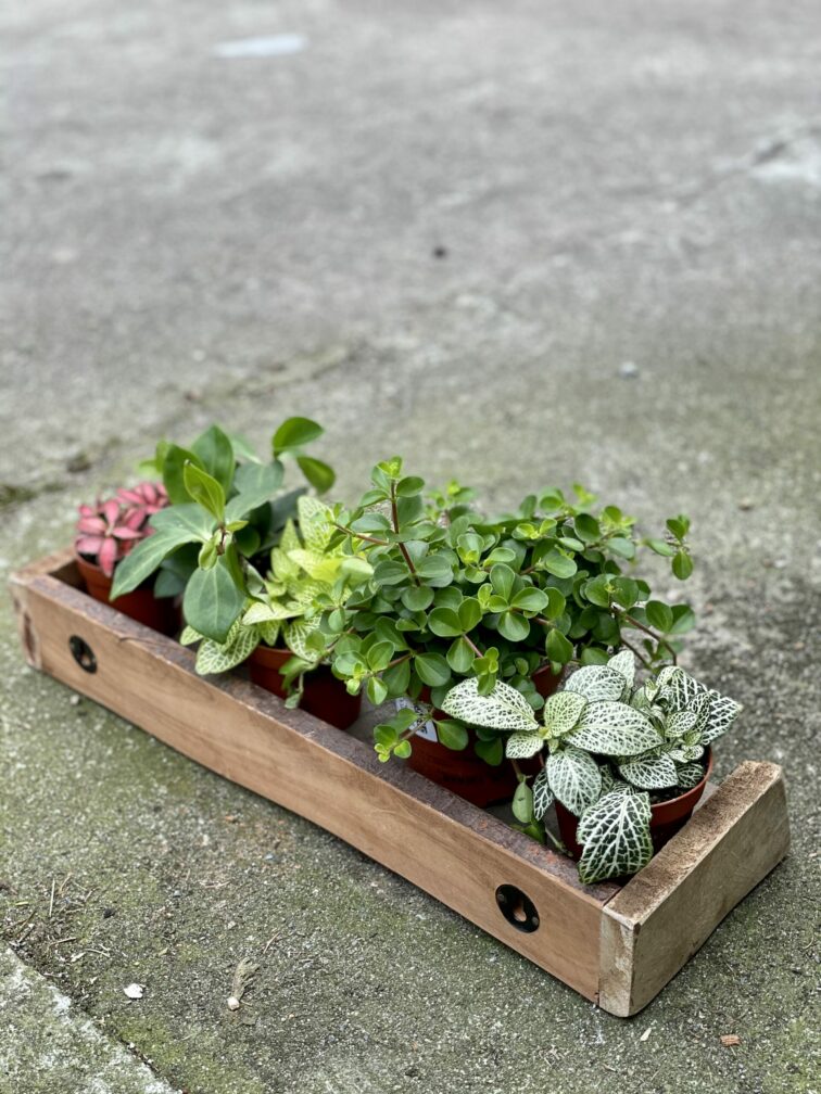 Zdjęcie akcesoria Półeczka Ib Laursen 45x15cm, ujęcie 1