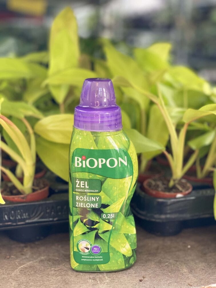 Zdjęcie akcesoria Żel do zielonych Biopon 250ml 290g, ujęcie 1