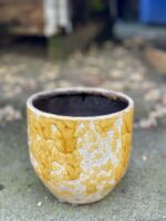 Zdjęcie doniczki lub oslonki: Oslonka-honey 12x13 cm, ujęcie 1